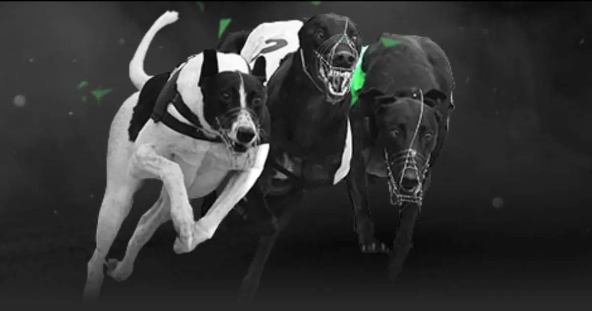 拜仁战胜美,因茨,凯恩破门,亚博登录入口,亚博平台,亚博注册网址,亚博app,亚博官网,亚博网站,亚博网页版