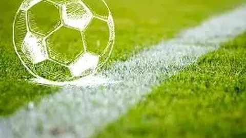 火箭核心申京赛场绽放，冬日赛场温暖如春